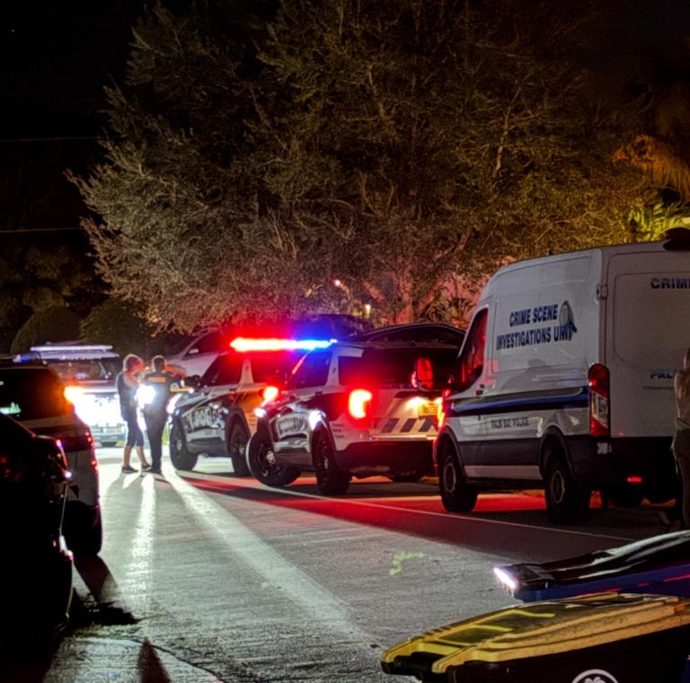 Palm Bay man, 84, faces attempted murder charge after shooting son