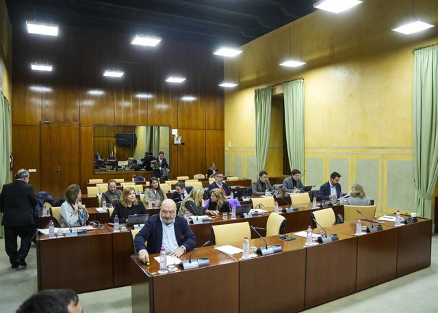 El Parlamento pide a la Junta con abstención del PP-A un plan para ...