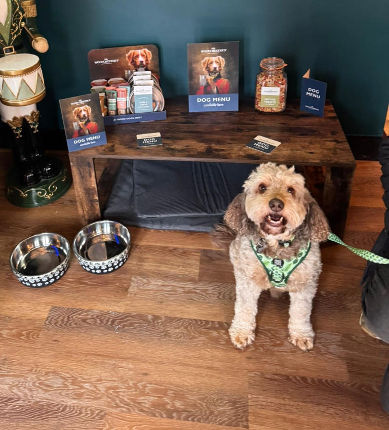 Inside Blackpool’s newest bar everyone’s talking about - and it’s dog ...
