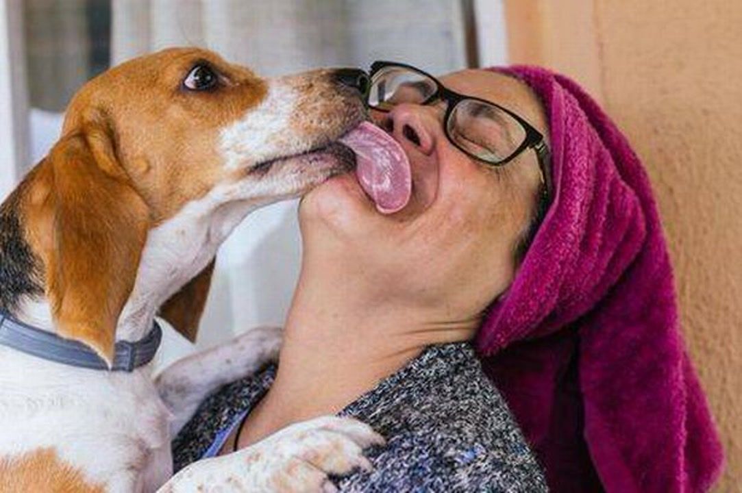 What your dog's licking really means, explained by vet