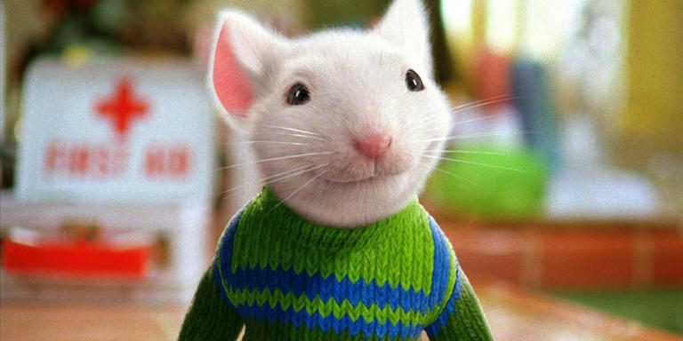 People are just realising Stuart Little isn't a mouse, and I need to ...