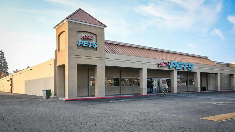 Arthur's Toys still a favorite Fresno memory, years after beloved store ...