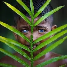Mistério Genético na Indonésia: “Povo dos Olhos Azuis Hipnotizantes” Intriga Cientistas do Mundo Todo!