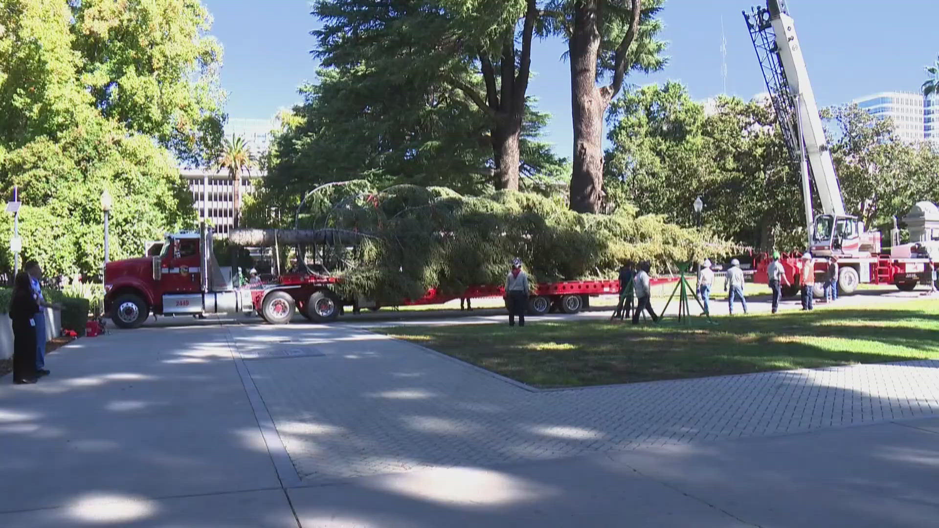 Capitol tree lighting ceremony tonight