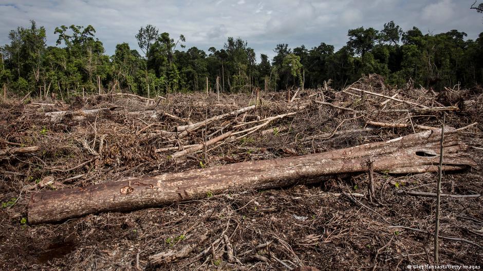 Banjir dan Longsor Meningkat, Uni Eropa Kurangi Aturan Anti Deforestasi