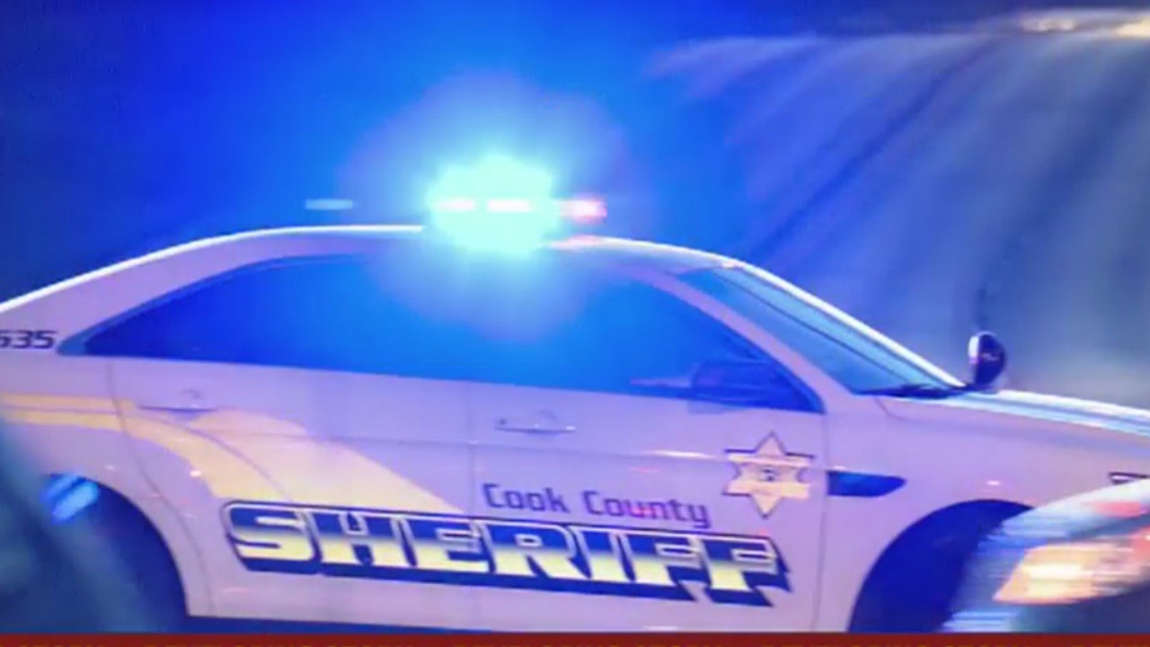 Off-duty Cook County Sheriff deputies shot at outside Chicago hospital ...