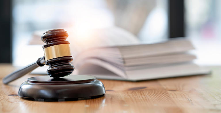 Ex-Franchise Group CEO Brian Kahn pleads guilty to defrauding hedge ...
