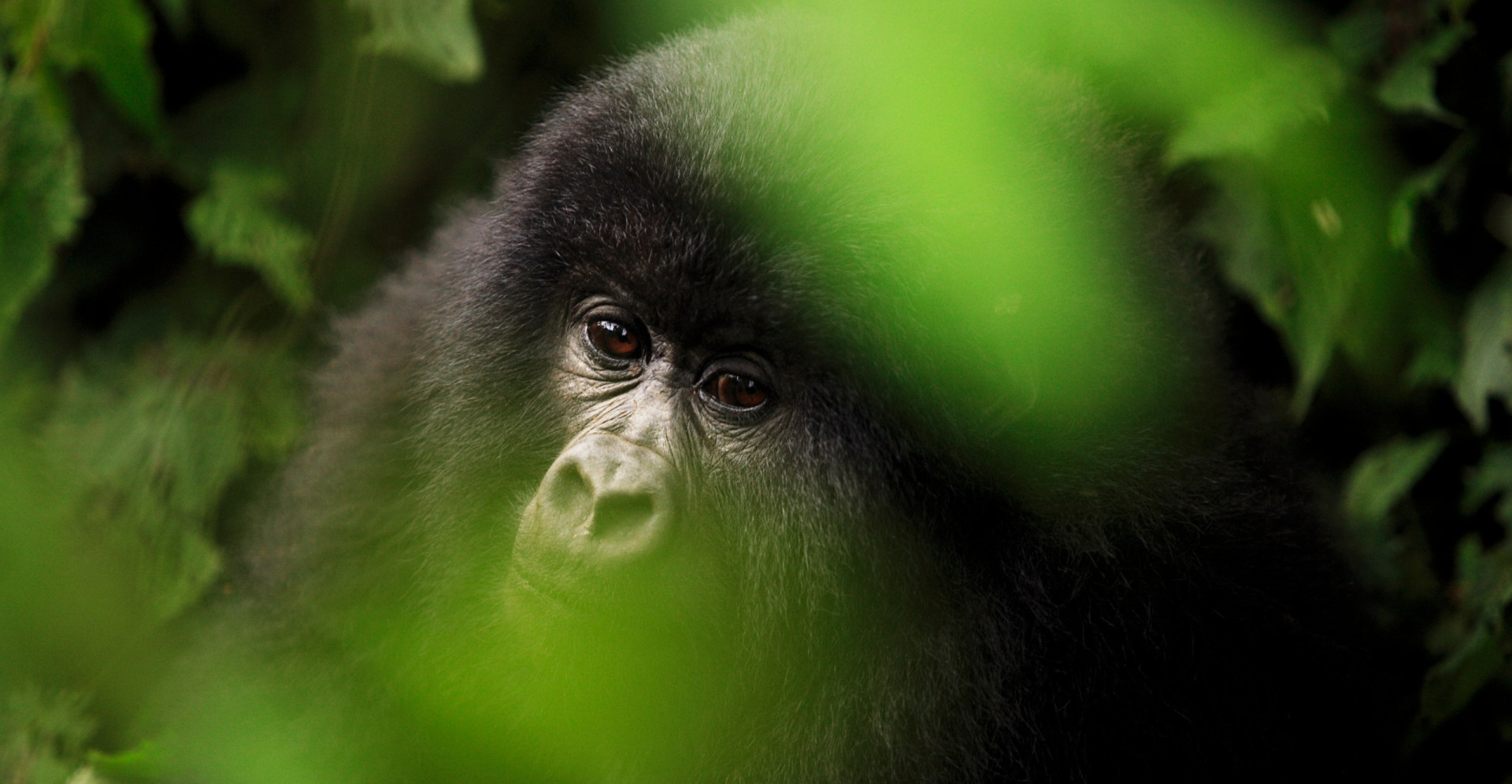 bizarre-historical-events-that-are-still-a-mystery