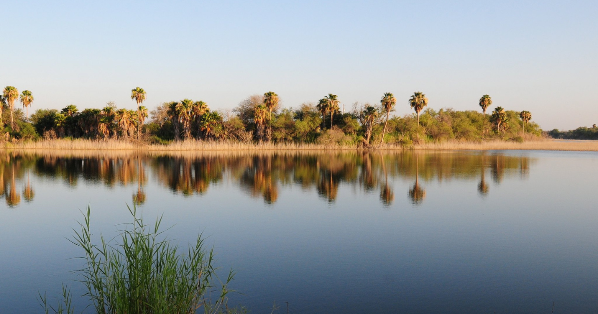 Palm-lined lake reflecting golden light at Bentsen–Rio Grande Valley State Park.
