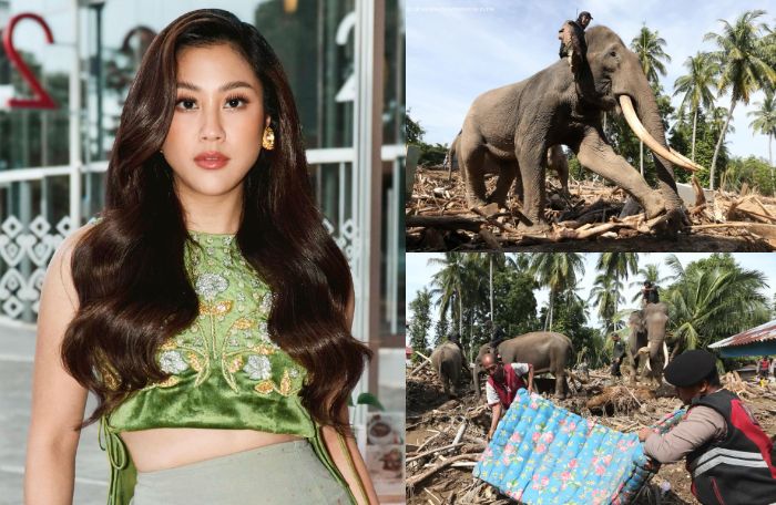 Profil Sherina Munaf, Artis yang Marah Lihat Gajah Jadi Alat Bantu Bersihkan Kayu di Banjir Aceh
