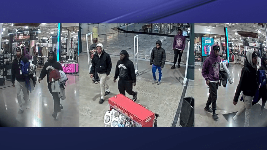 Police seek help to ID alleged Dick’s Sporting Goods thieves