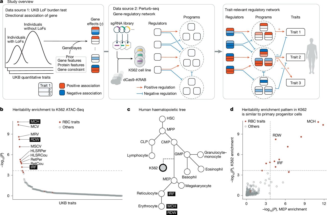 Genomic maps untangle the complex roots of disease