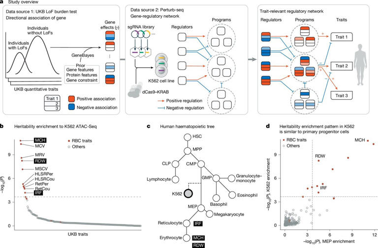 Genomic maps untangle the complex roots of disease