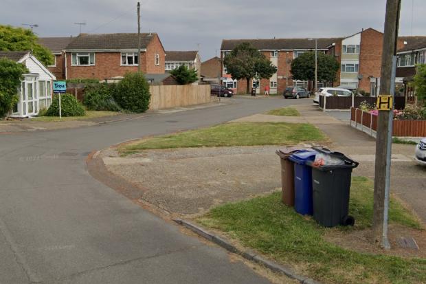 Man admits owning XL Bully which fatally attacked other dog in south Essex