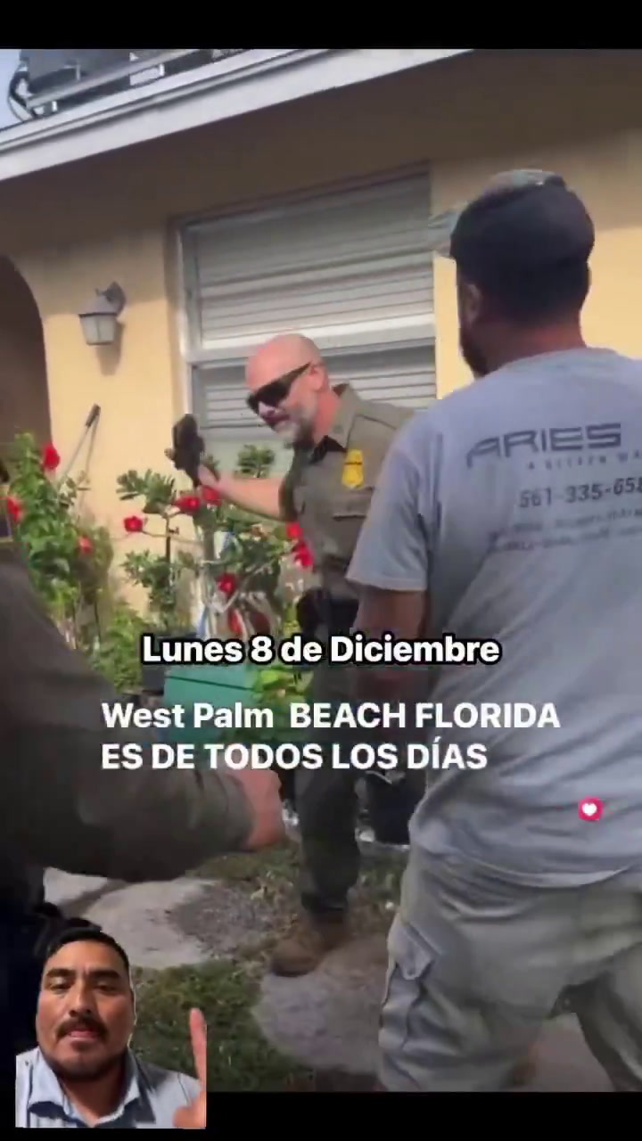Damning report finds Trump’s ‘paramilitary’ immigration goons regularly ...