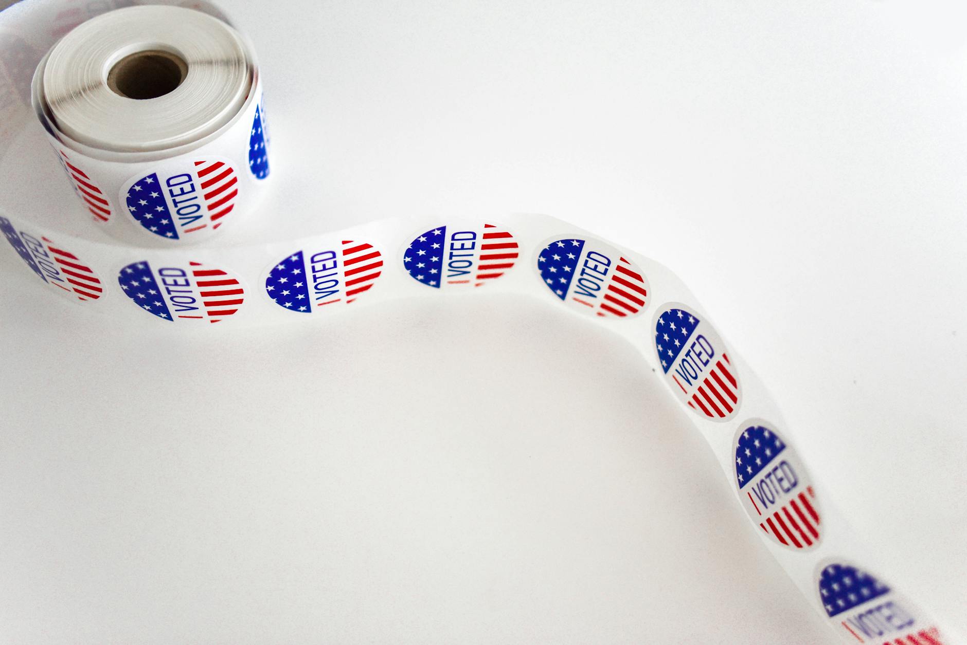 Primary election guide 2026: What Racine 2nd District voters need to know