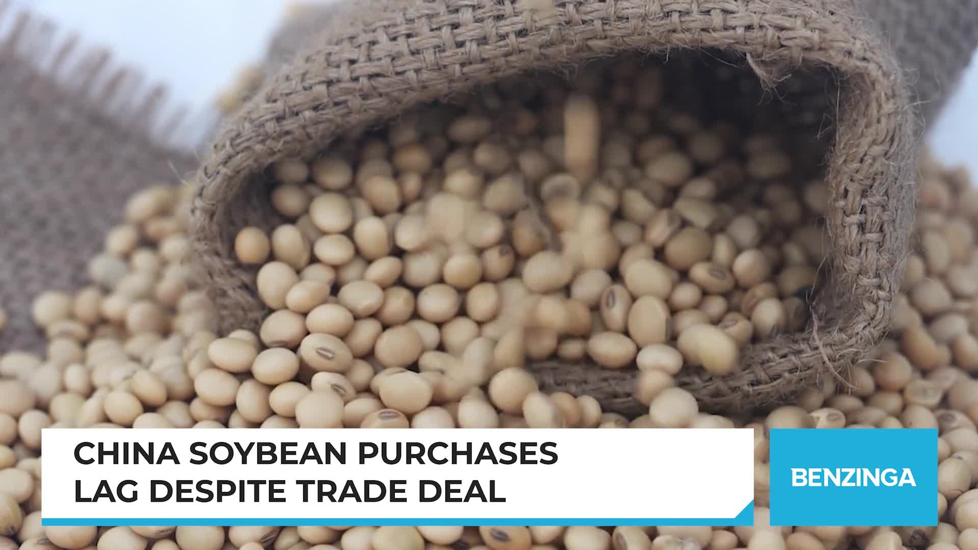 China soybean purchases lag despite trade deal