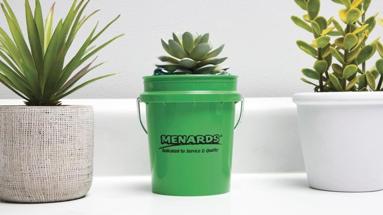You'll want every one of these adorable mini buckets – here's where to ...