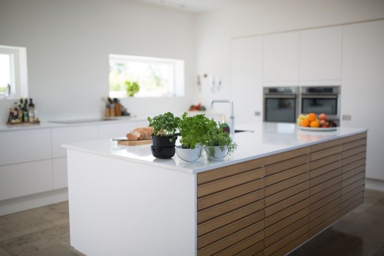 6 Tanaman Hias yang Mempercantik Dapur