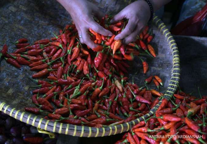 Harga Cabai, Bawang, dan Daging Naik Jelang Nataru