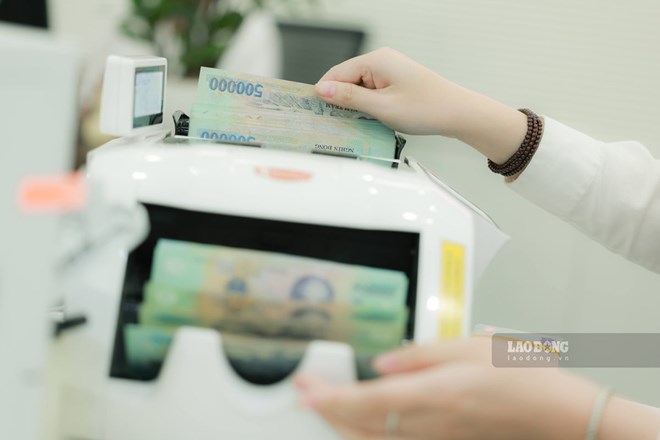 Thông đồng, bao che người nộp thuế trốn thuế bị phạt đến 16 triệu đồng