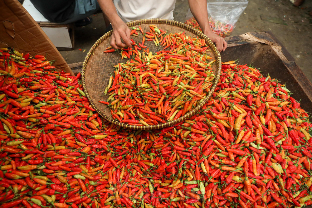 Harga pangan 11 Desember: Beras turun, cabai rawit naik