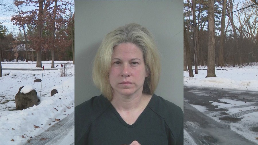 Woman pleads not guilty to charges of hiding remains of newborn son in ...