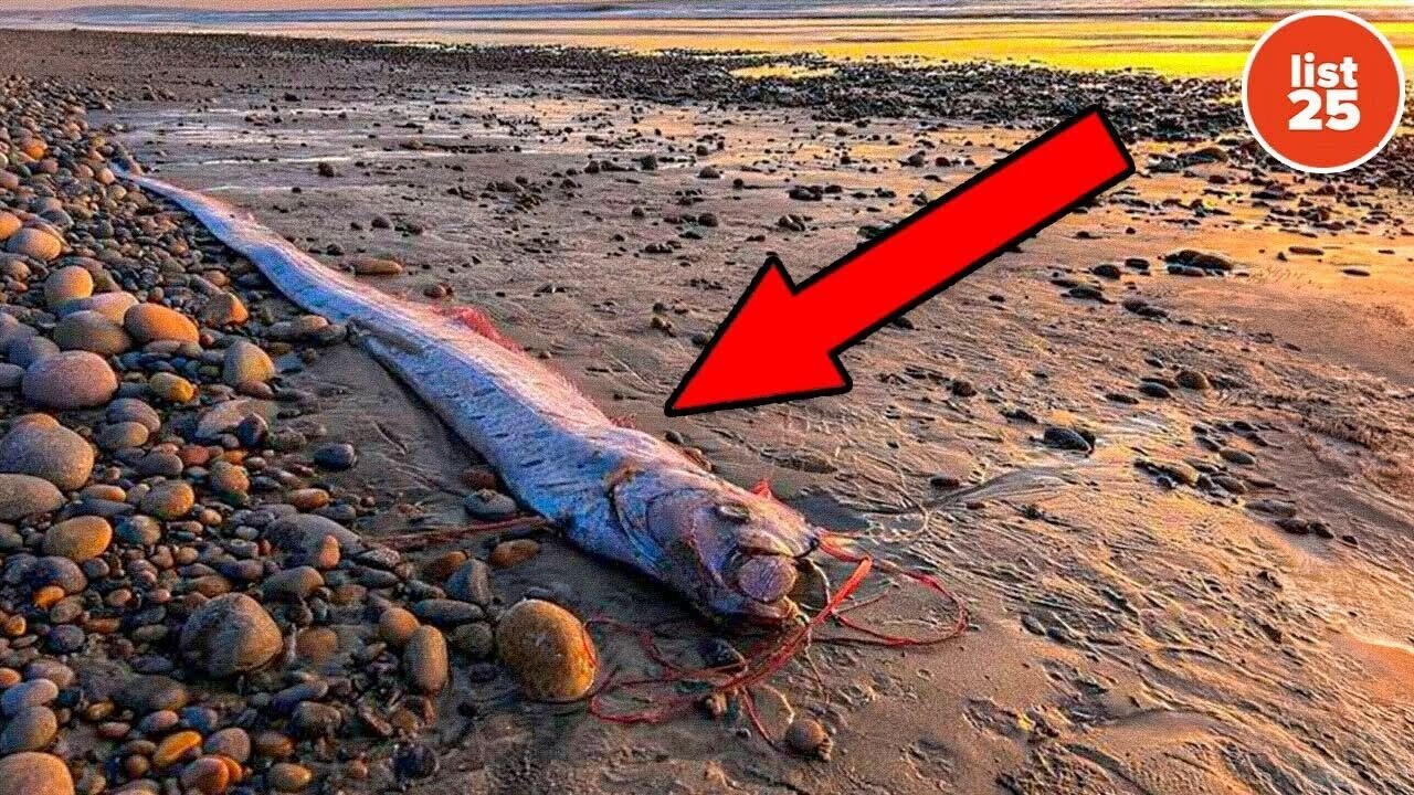25 warnings from nature that signal disaster is coming