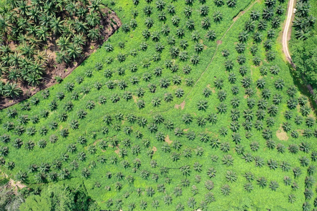 Alam Bukan Penyebab, Penyebab Banjir Sumatra adalah Penguasa dan Oligarki