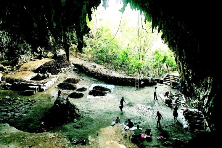 Misteri kepunahan hobbit Flores terungkap, apa penyebabnya?