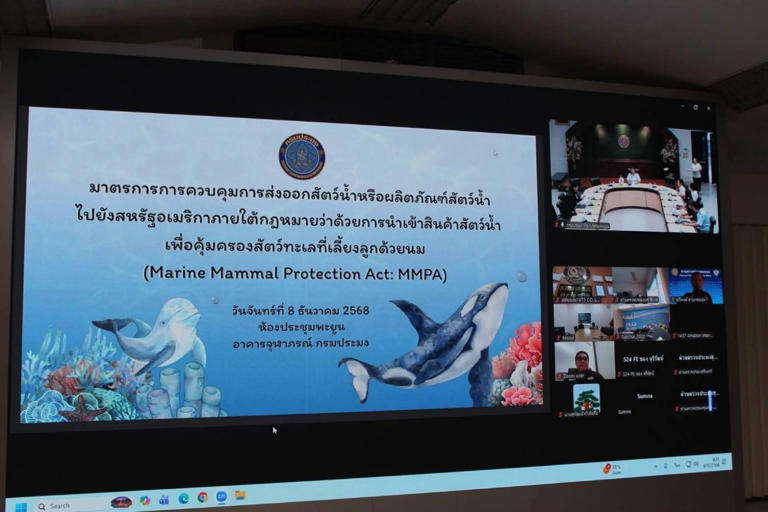 กรมประมงเตรียมพร้อมผู้ประกอบประมงไทย รับกฎ MMPA ก่อนสหรัฐฯ บังคับใช้ 1 ...