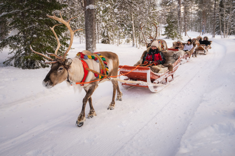 Lapland, Finlandia: Kampung Santa Claus, Daya Tarik Wisata Dunia di Ujung Utara Eropa