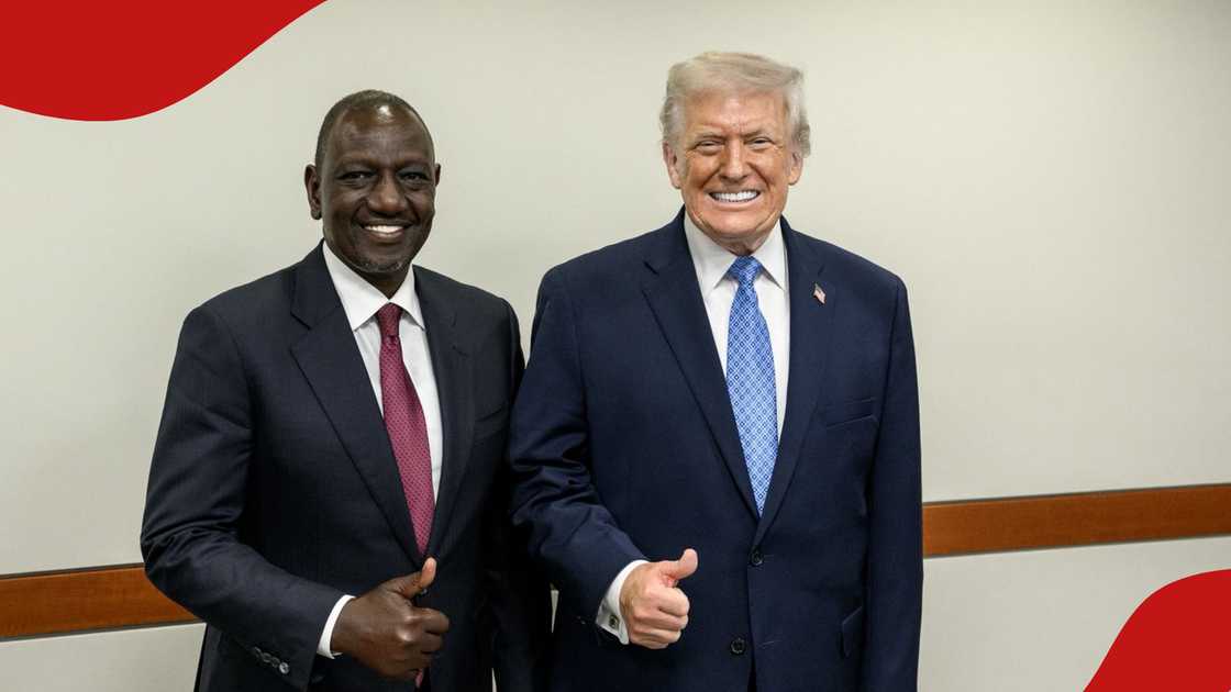 Blow to William Ruto as High Court suspends implementation of KSh 280B ...