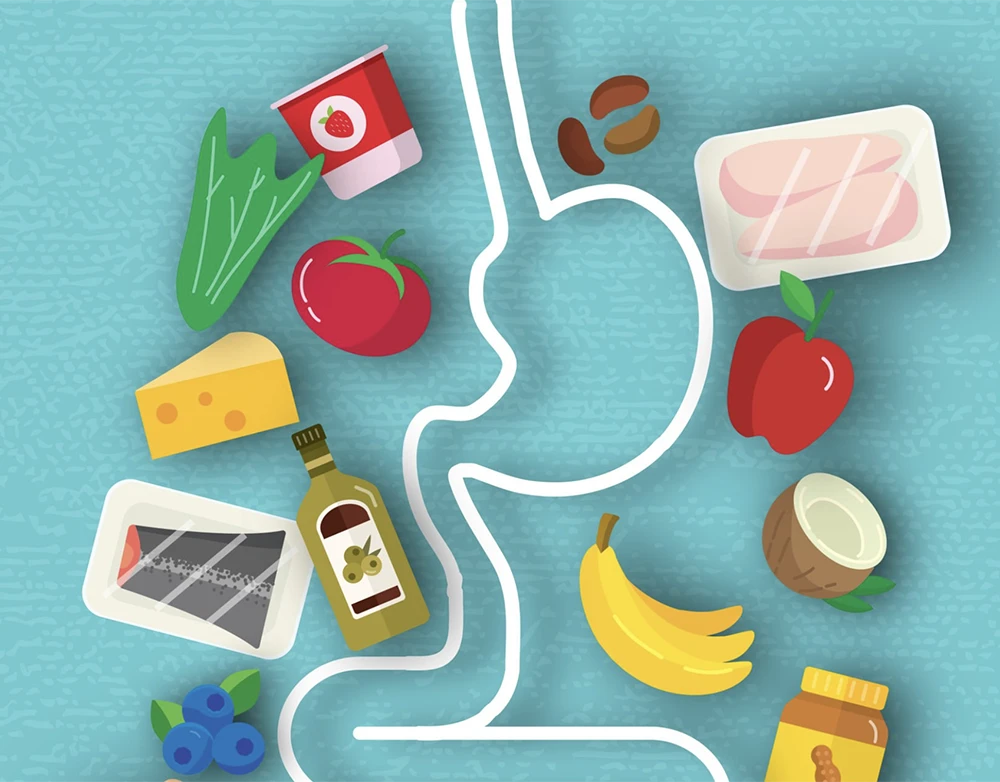 The enzymatic gap: Why your gut might be missing the right tools for ...