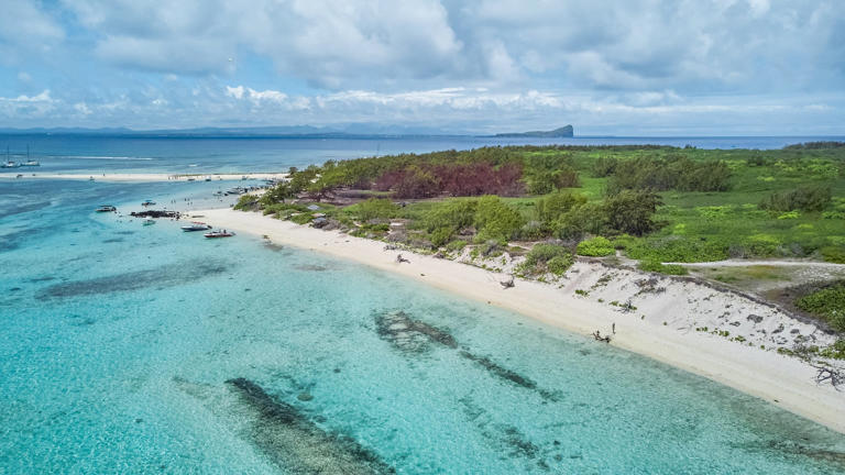 Pelikh Alexey / Shutterstock