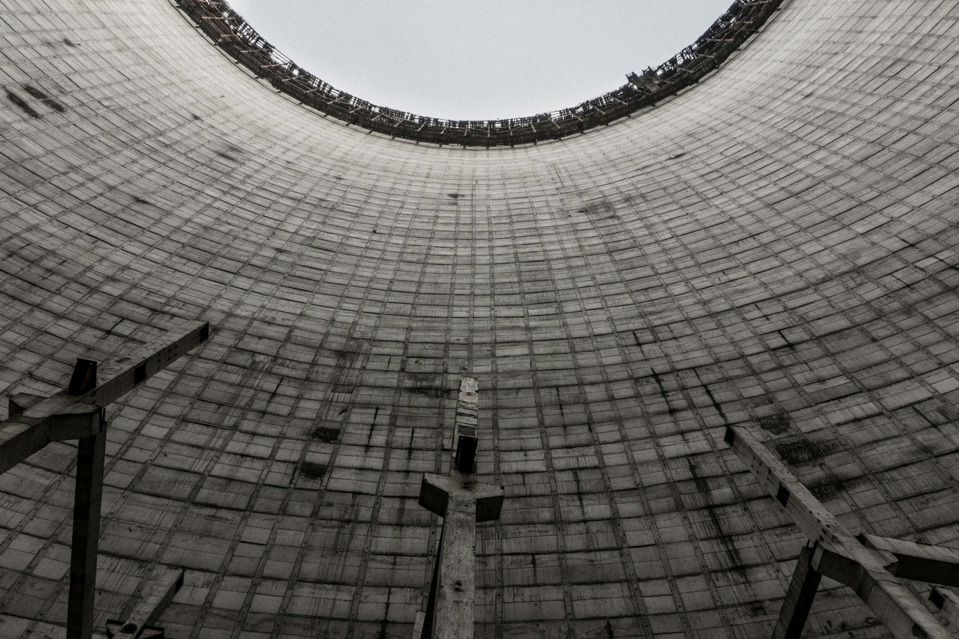 A microbe that eats radiation