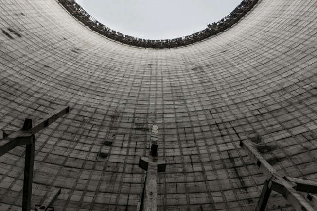 A microbe that eats radiation