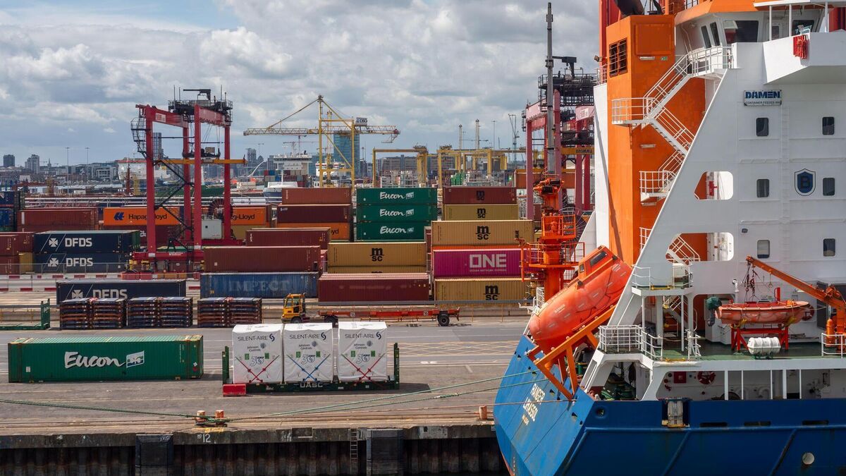 Food could vanish from shelves within three days if Dublin Port is hit ...