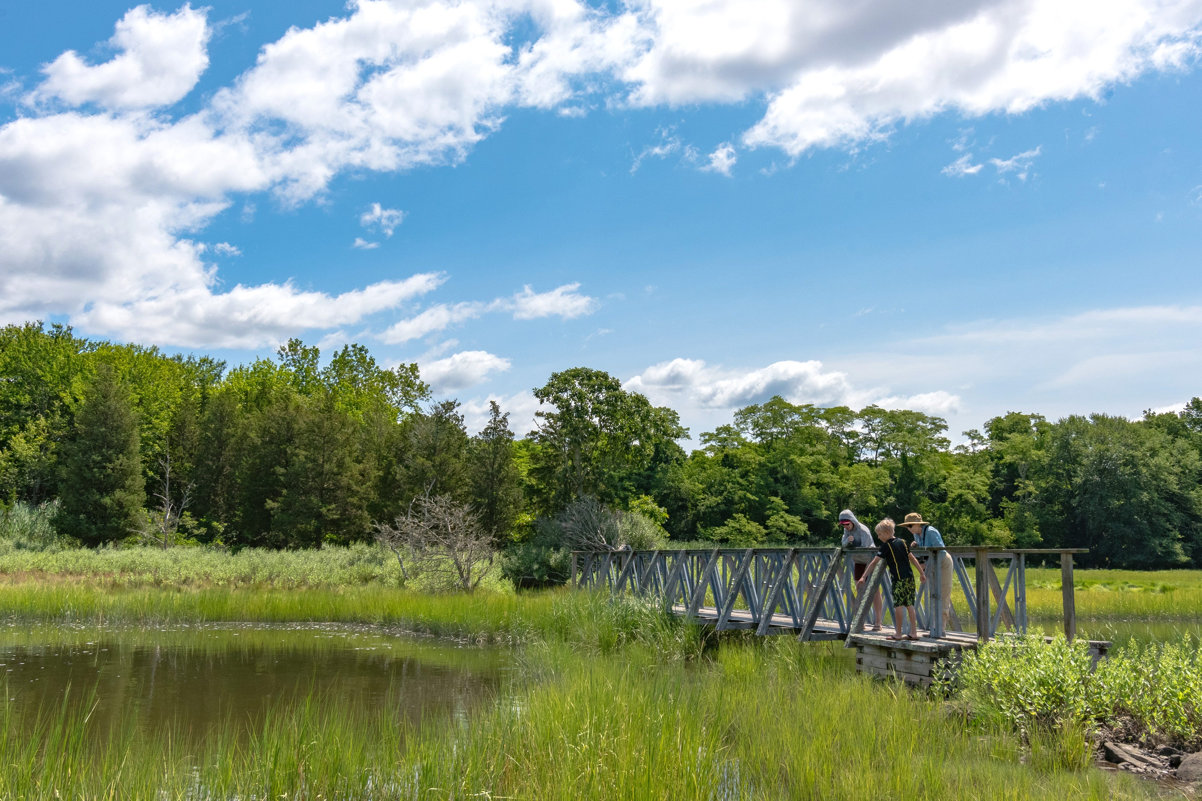 Audubon Society of Rhode Island is preserving the state and benefiting ...