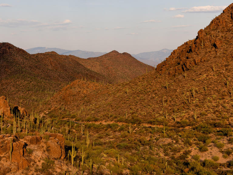 Tucson’s globally distinct cuisine of heat and abundance