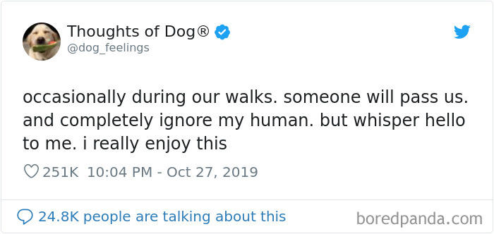 30 of the funniest dog thoughts that dog owners understand too well