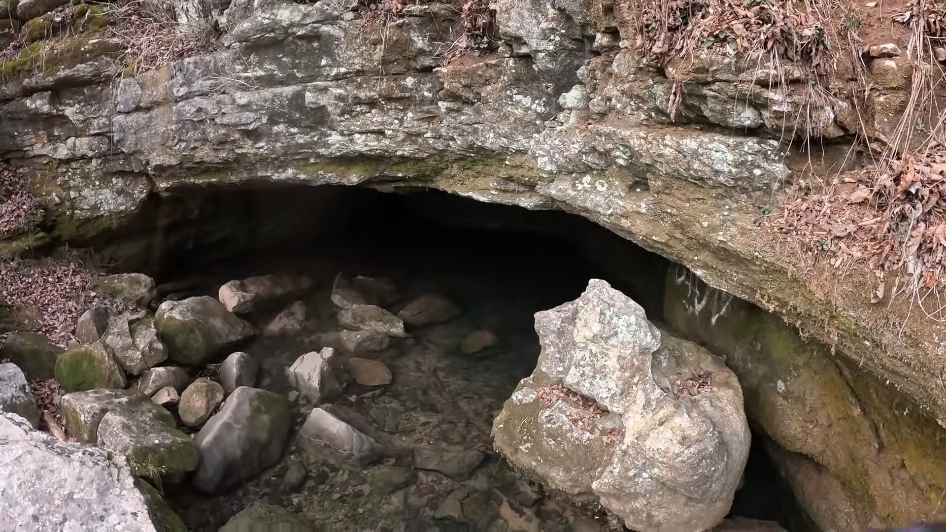 This swimming hole was hiding something big… a full cave system
