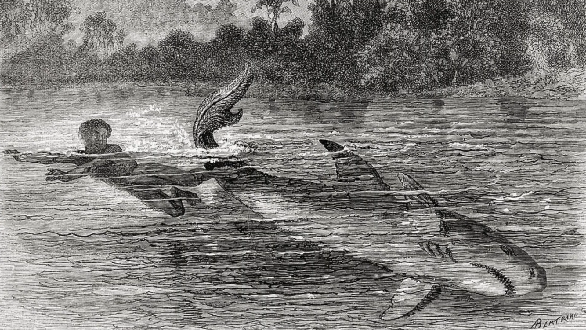 Solving the Rookin mystery without upsetting whatever curse locals fear