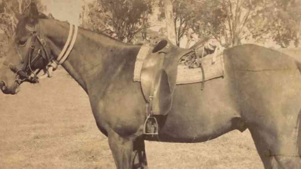 The dramatic manhunt & capture of Australia’s last bushrangers