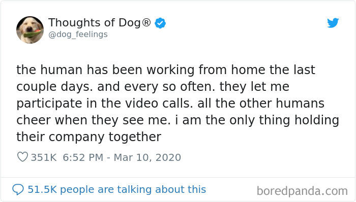 30 of the funniest dog thoughts that dog owners understand too well