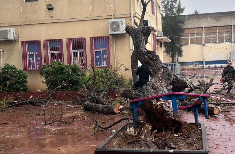 Dozens rescued in severe flooding as Storm Byron wreaks havoc on Israel