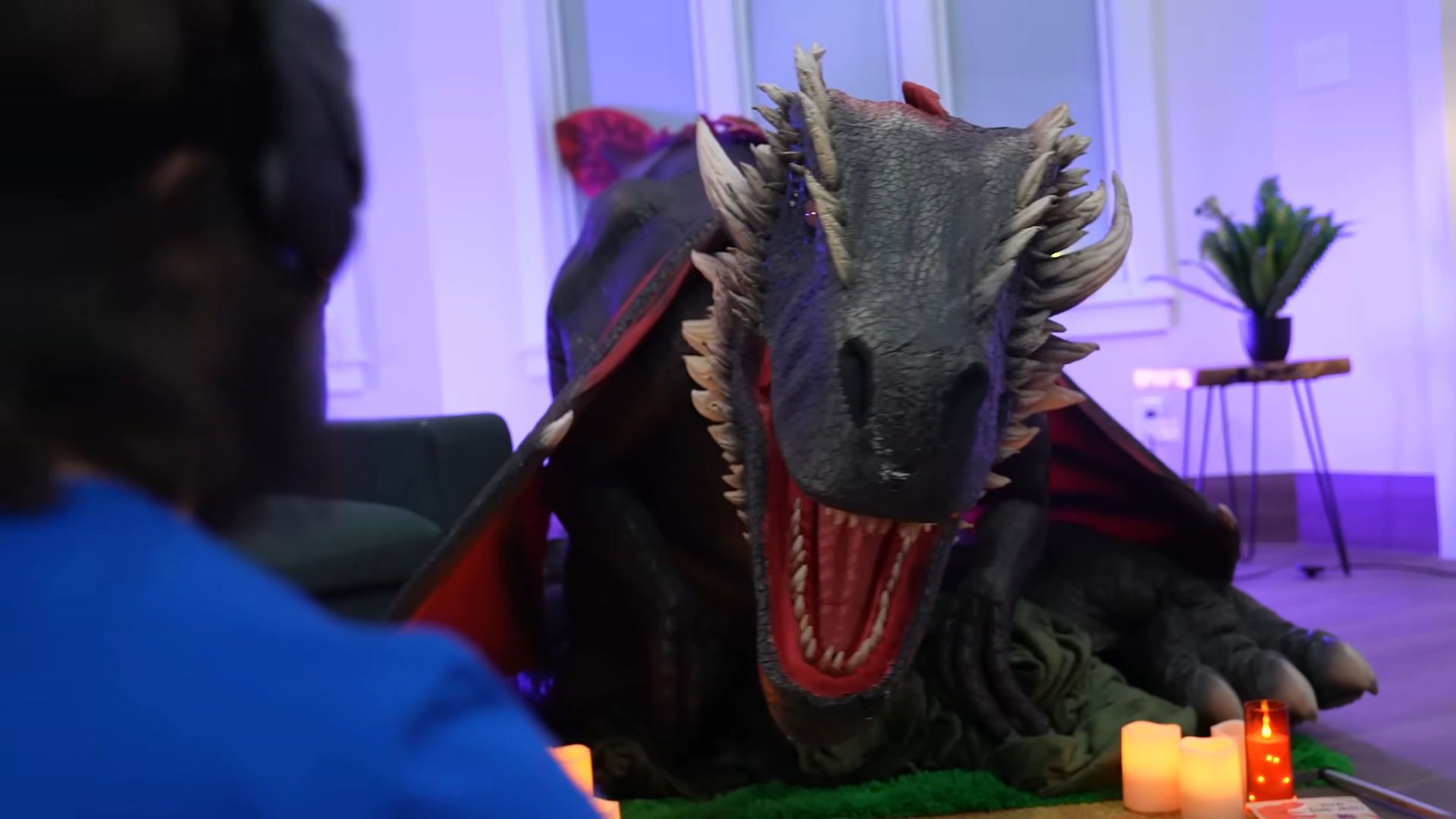 Training a dragon in real life