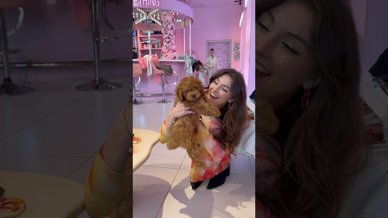 Nugget! Such a cute pup! #youtubeshorts #rachelpizzolato #prettylittlething