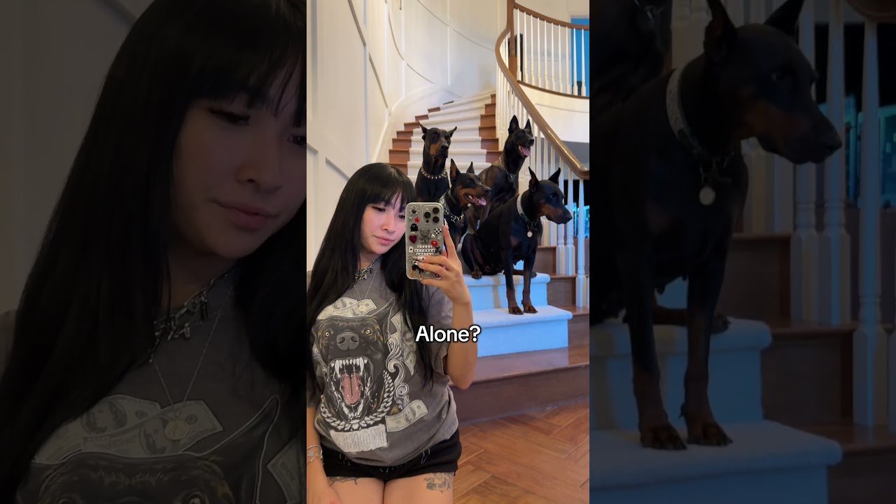 My dogs think they are full-time personal bodyguards
