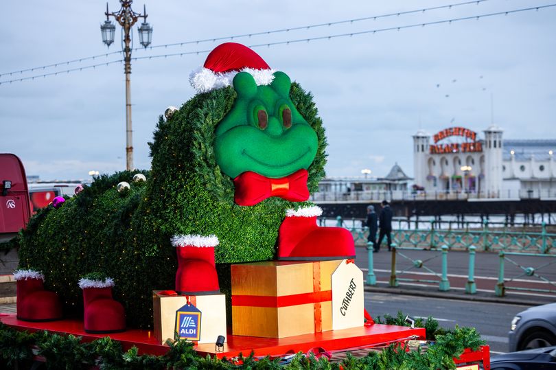 Aldi unveils giant Cuthbert-shaped Christmas tree and delivers it to M&S
